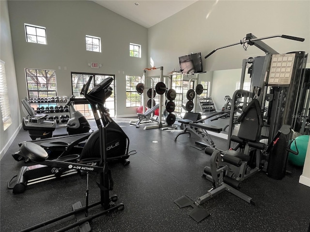 2924 Hidden Harbour Ct, Fort Lauderdale, FL 33312 - exercise room featuring plenty of natural light and high vaulted ceiling