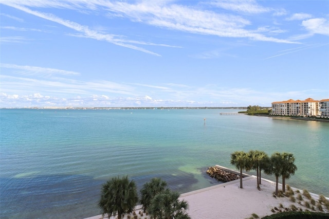 4991 Bacopa Ln S Unit 201, Saint Petersburg, FL 33715 - photo 30