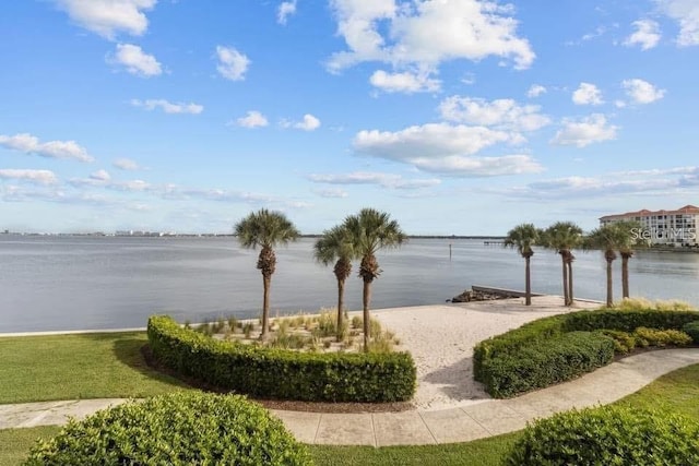 4991 Bacopa Ln S Unit 201, Saint Petersburg, FL 33715 - photo 31