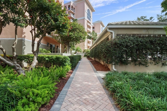 4991 Bacopa Ln S Unit 201, Saint Petersburg, FL 33715 - photo 37