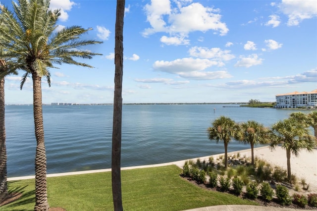 4991 Bacopa Ln S Unit 201, Saint Petersburg, FL 33715 - photo 42