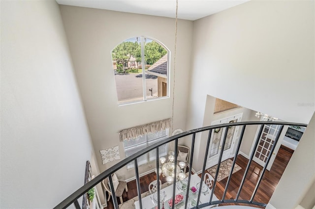 19119 Mandarin Grove Pl, Tampa, FL 33647 - photo 32
