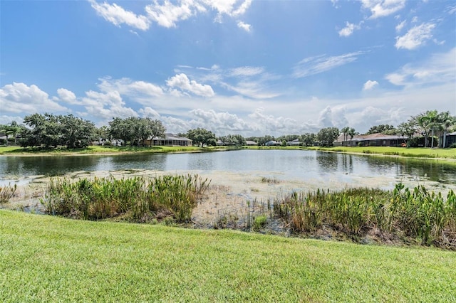19119 Mandarin Grove Pl, Tampa, FL 33647 - photo 46