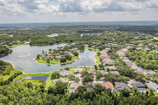 19119 Mandarin Grove Pl, Tampa, FL 33647 - photo 51