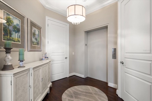 5707 Yeats Manor Dr Unit 402, Tampa, FL 33616 - photo 4