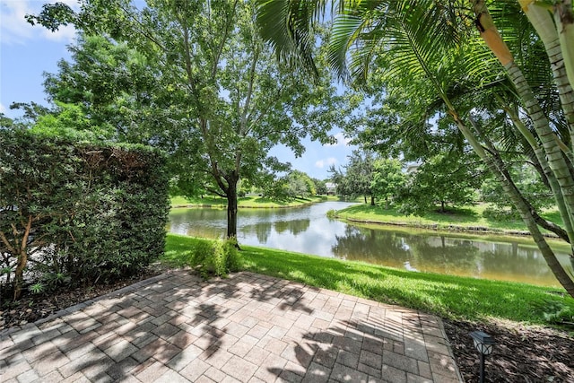 558 Harbor Ridge Dr, Palm Harbor, FL 34683 - photo 21