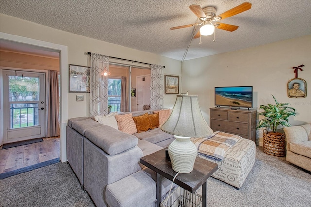 3100 Hartford St N Unit 203, Saint Petersburg, FL 33713 - photo 6