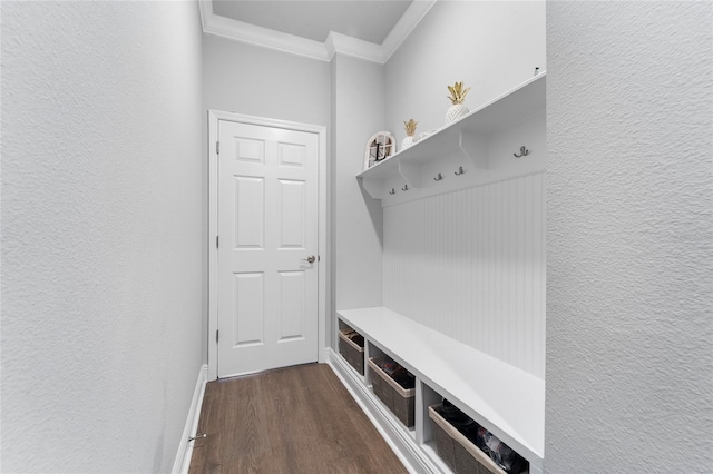 5707 Camila Song Ln, Tampa, FL 33625 - photo 22