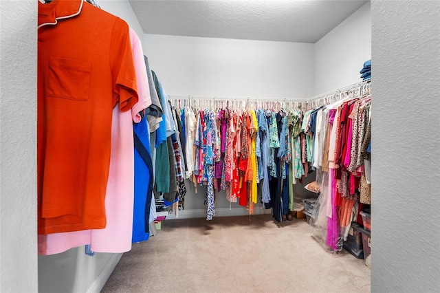5707 Camila Song Ln, Tampa, FL 33625 - photo 32