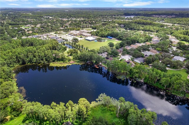 5707 Camila Song Ln, Tampa, FL 33625 - photo 43