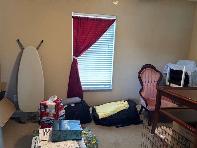 14161 Kingmont St, Spring Hill, FL 34609 - photo 14