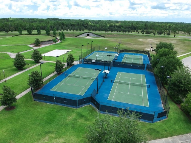 21896 Emory Oak Pl, Land O Lakes, FL 34637 - photo 80