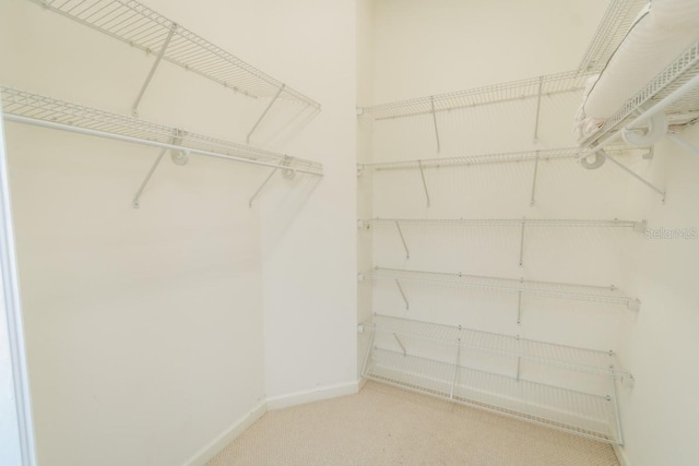 3002 14th Ave W, Bradenton, FL 34205 - photo 7