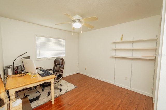 3002 14th Ave W, Bradenton, FL 34205 - photo 24