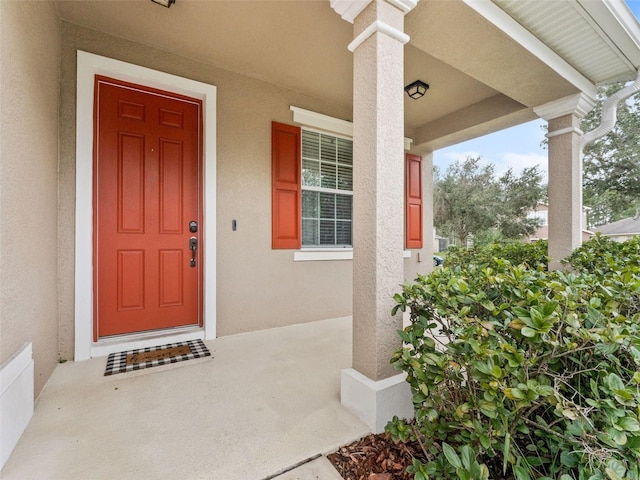 2914 Cypress Bowl Rd, Lutz, FL 33558 - photo 4
