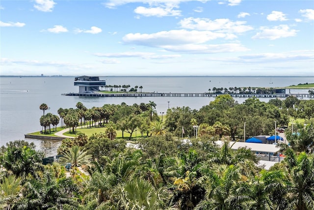121 28th Ave NE, Saint Petersburg, FL 33704 - photo 51
