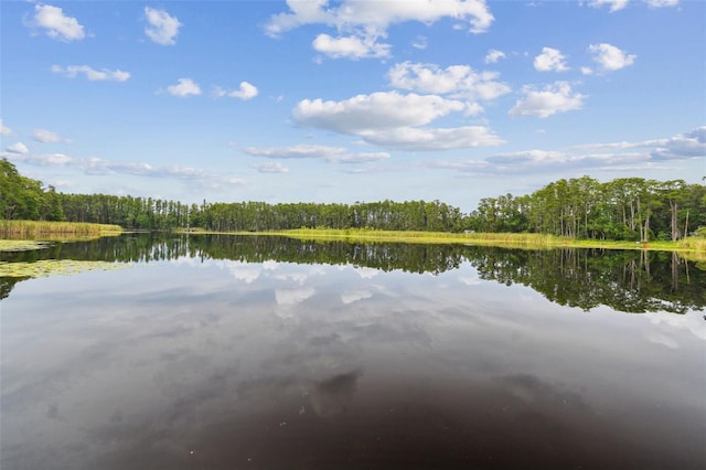 4540 Mitchell Rd, Land O Lakes, FL 34638 - photo 1