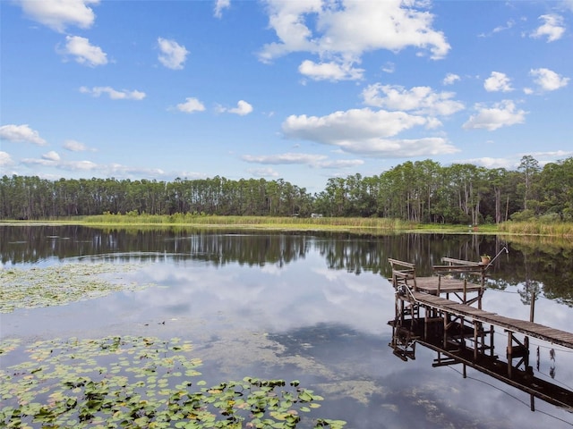 4540 Mitchell Rd, Land O Lakes, FL 34638 - photo 7