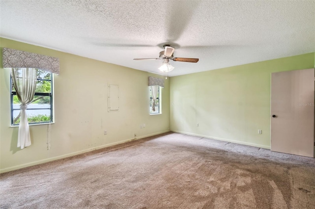 4540 Mitchell Rd, Land O Lakes, FL 34638 - photo 13