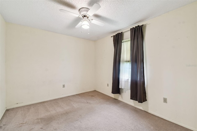 4540 Mitchell Rd, Land O Lakes, FL 34638 - photo 16