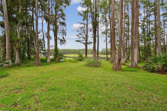 4540 Mitchell Rd, Land O Lakes, FL 34638 - photo 25