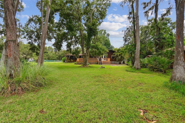 4540 Mitchell Rd, Land O Lakes, FL 34638 - photo 26