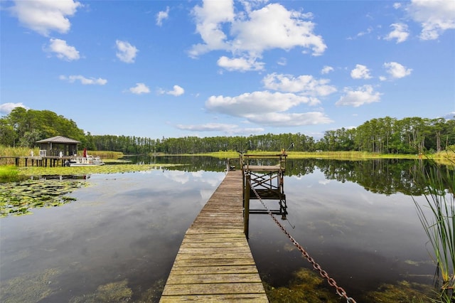 4540 Mitchell Rd, Land O Lakes, FL 34638 - photo 27
