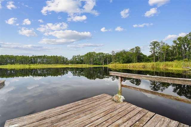 4540 Mitchell Rd, Land O Lakes, FL 34638 - photo 28