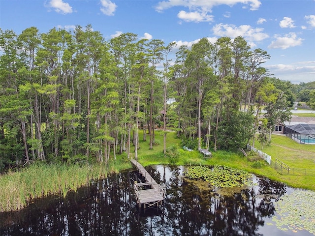 4540 Mitchell Rd, Land O Lakes, FL 34638 - photo 35