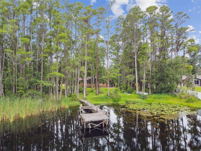 4540 Mitchell Rd, Land O Lakes, FL 34638 - photo 36
