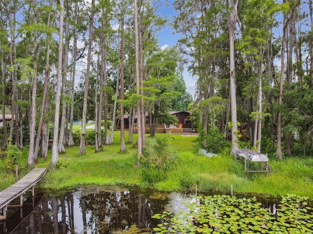 4540 Mitchell Rd, Land O Lakes, FL 34638 - photo 37