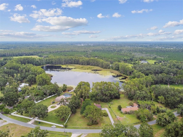 4540 Mitchell Rd, Land O Lakes, FL 34638 - photo 45