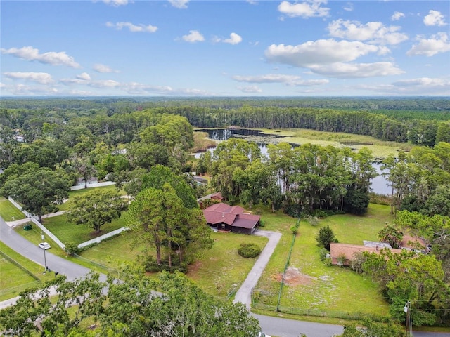 4540 Mitchell Rd, Land O Lakes, FL 34638 - photo 46