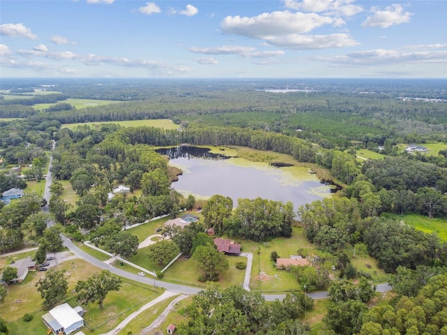 4540 Mitchell Rd, Land O Lakes, FL 34638 - photo 47
