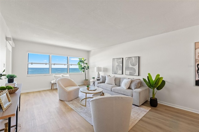 1230 Gulf Blvd Unit 1406, Clearwater Beach, FL 33767 - living area with light wood-type flooring and a water view