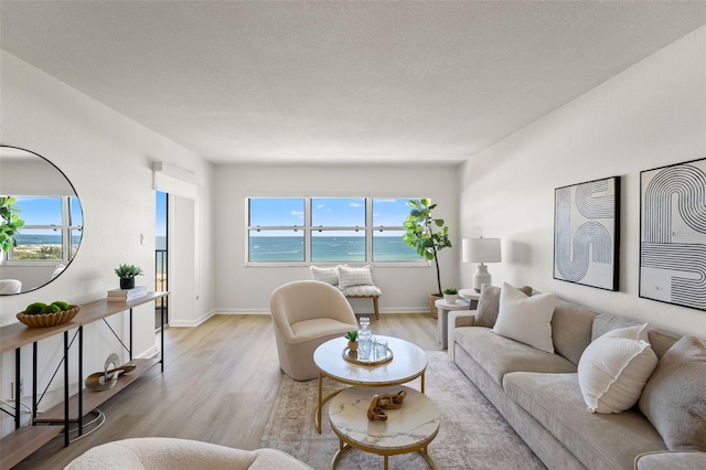 1230 Gulf Blvd Unit 1406, Clearwater Beach, FL 33767 - living room with light wood-style flooring and a water view
