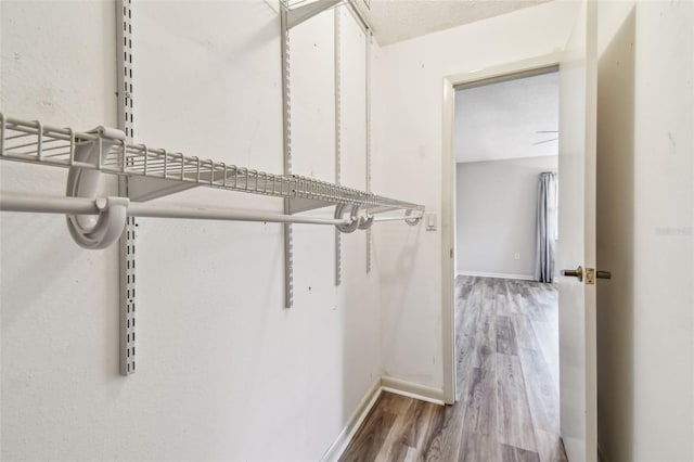 39650 US Highway 19 N Unit 414, Tarpon Springs, FL 34689 - photo 42