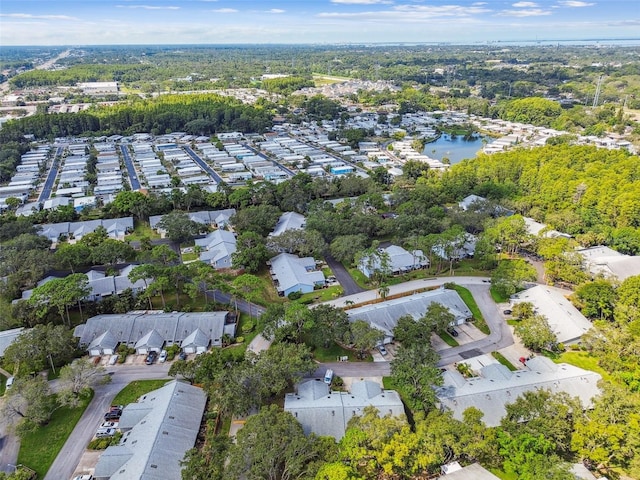 39650 US Highway 19 N Unit 414, Tarpon Springs, FL 34689 - photo 77