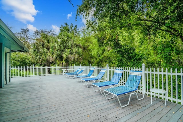 39650 US Highway 19 N Unit 414, Tarpon Springs, FL 34689 - photo 85