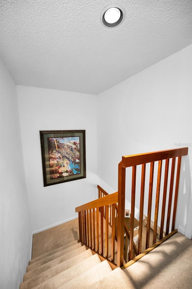 2725 5th Ct, Palm Harbor, FL 34684 - photo 42