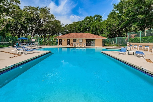 2725 5th Ct, Palm Harbor, FL 34684 - photo 53