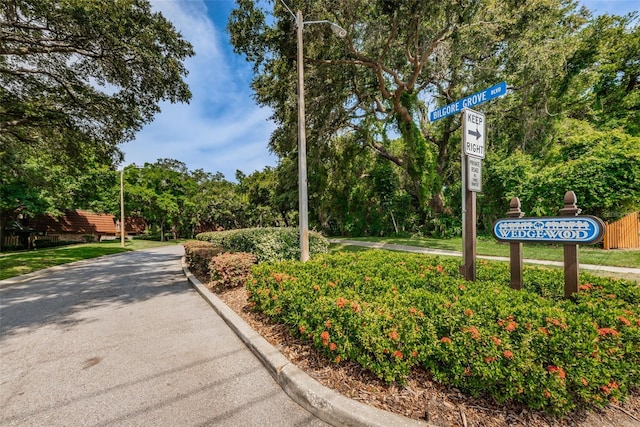 2725 5th Ct, Palm Harbor, FL 34684 - photo 61