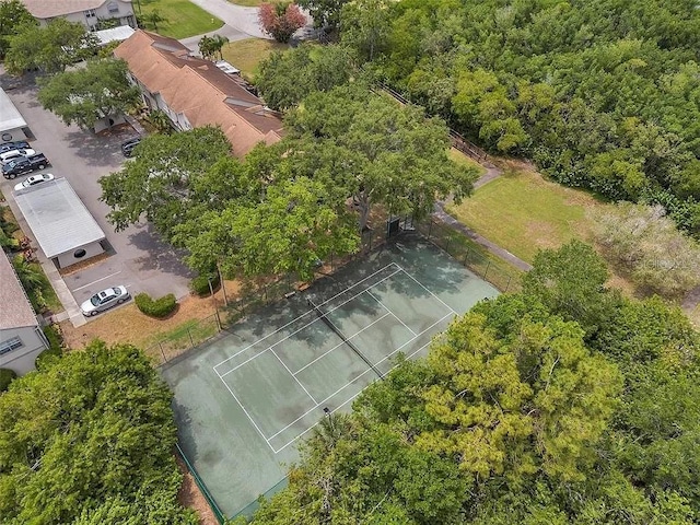 3001 Bough Ave Unit D, Clearwater, FL 33760 - photo 31