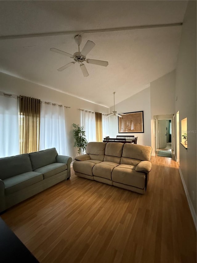 3001 Bough Ave Unit D, Clearwater, FL 33760 - photo 8