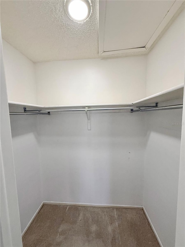 3001 Bough Ave Unit D, Clearwater, FL 33760 - photo 24