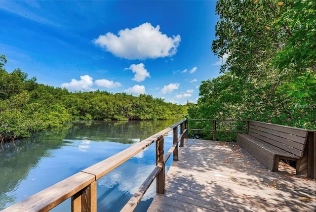 3001 Bough Ave Unit D, Clearwater, FL 33760 - photo 42