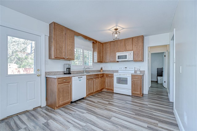12925 N Rome Ave, Tampa, FL 33612 - photo 7