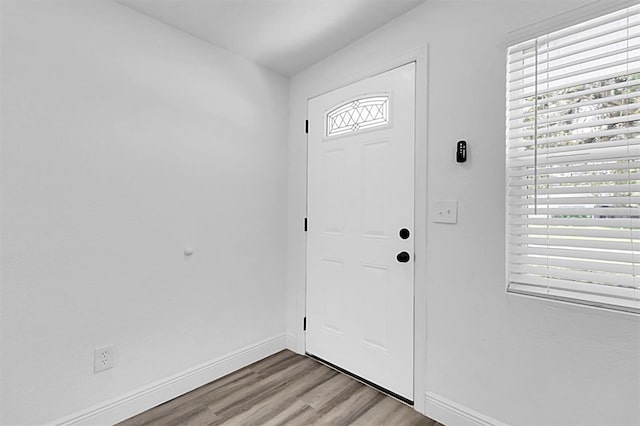 10633 Raffia Dr, Port Richey, FL 34668 - photo 3