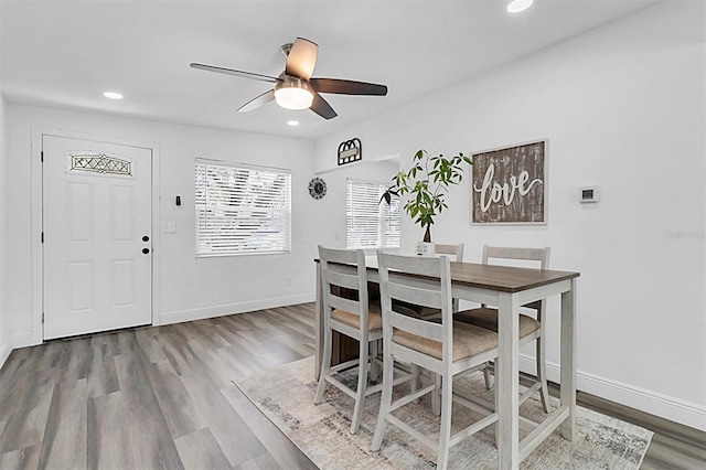 10633 Raffia Dr, Port Richey, FL 34668 - photo 4