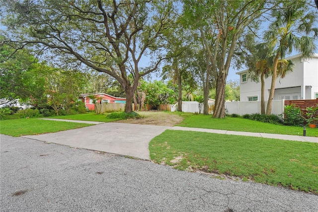1050 Conant Ave, Safety Harbor, FL 34695 - photo 2